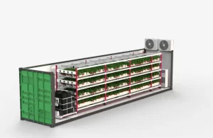 container-farm-for-strawberry-uese 1