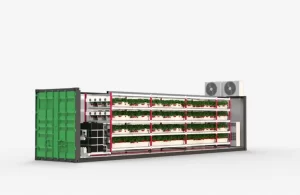 container-farm-for-strawberry-uese2