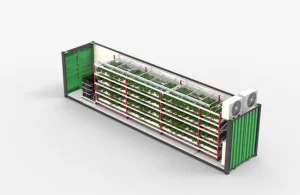 container-farm-for-strawberry-uese3
